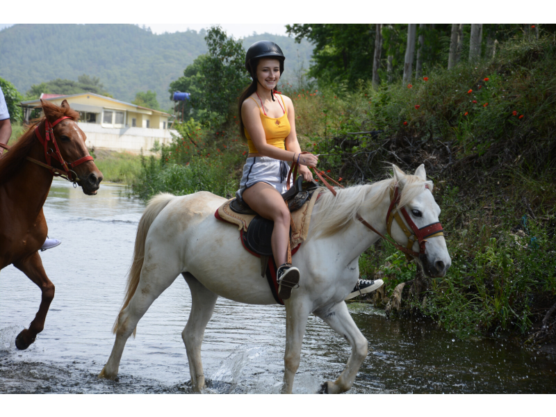 Horse Safari